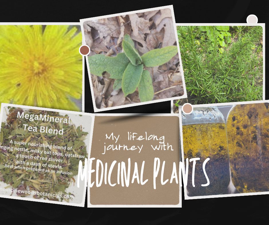 My lifelong Journey with Plants