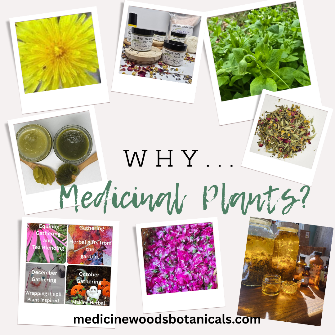 Why do I do what I do?