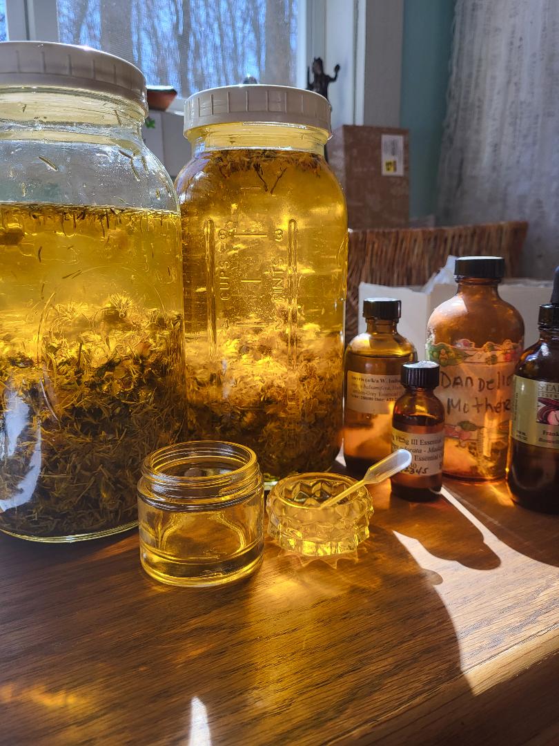 DandelionBlossom Cream - MedicineWoods