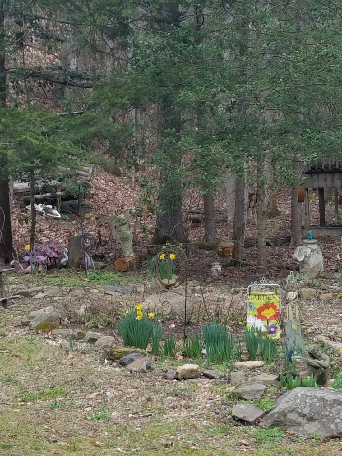 Growing Older, Growing Wilder: A Reflection on Loneliness and the Longing for Connection
