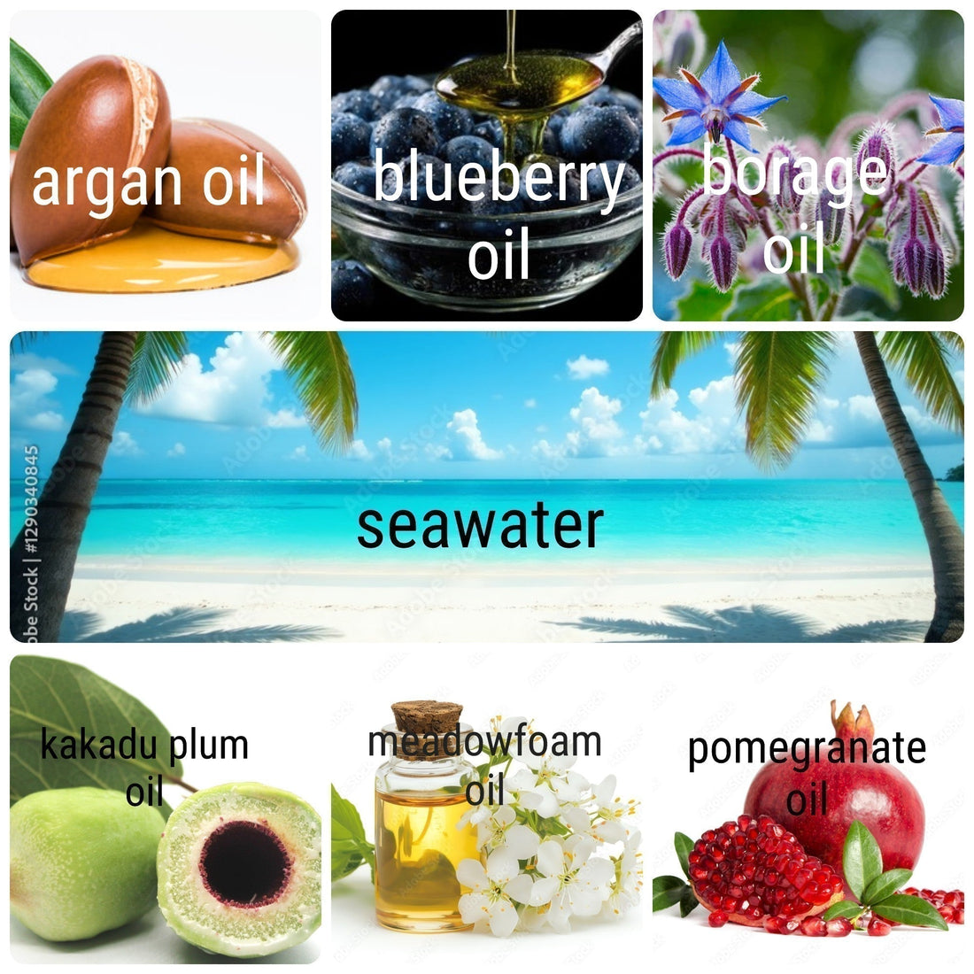 image of 7 botanicals used in Head2Toe