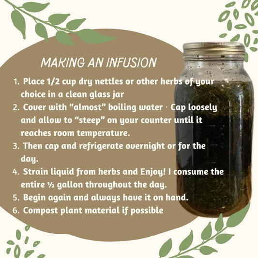 Making an Herbal Infusion