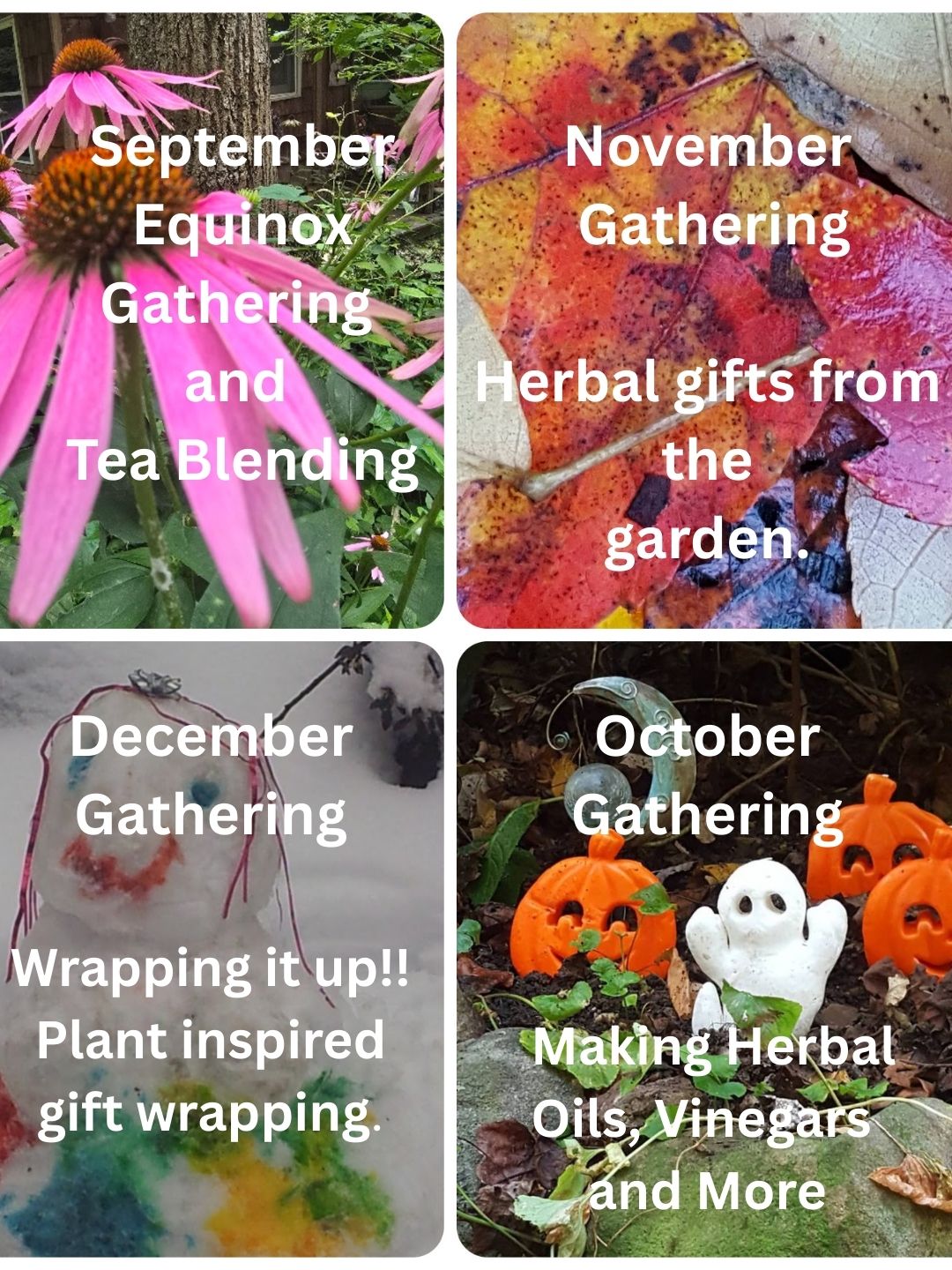 CLASSES - September, October, November and December 2025!!!  Come share the Gift of MedicineWoods!!!