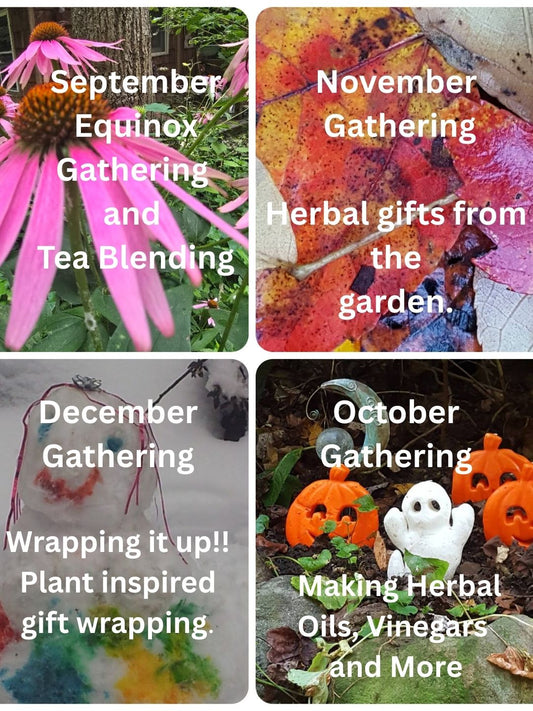 CLASSES - September, October, November and December 2025!!!  Come share the Gift of MedicineWoods!!!